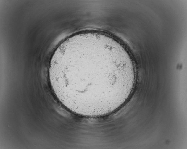 X0000100311355200807031137