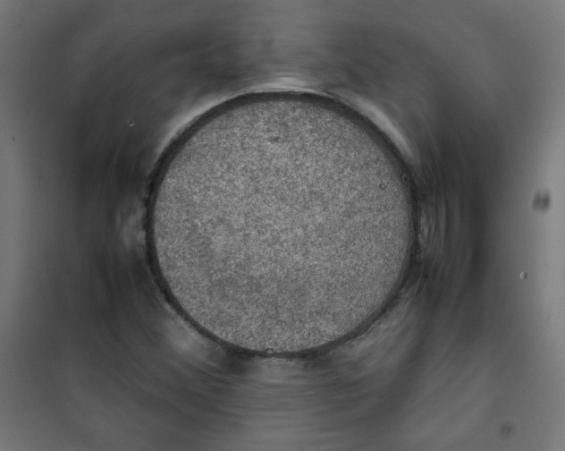 X0000100311356200807031137