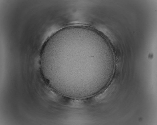 X0000100311357200807031137