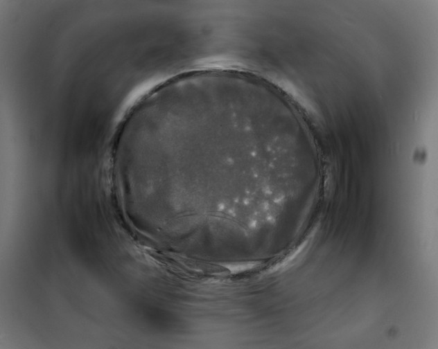 X0000100311358200807031137