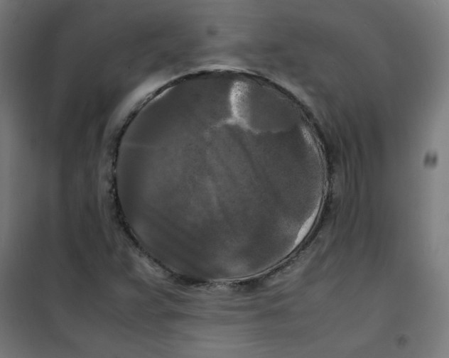 X0000100311359200807031137