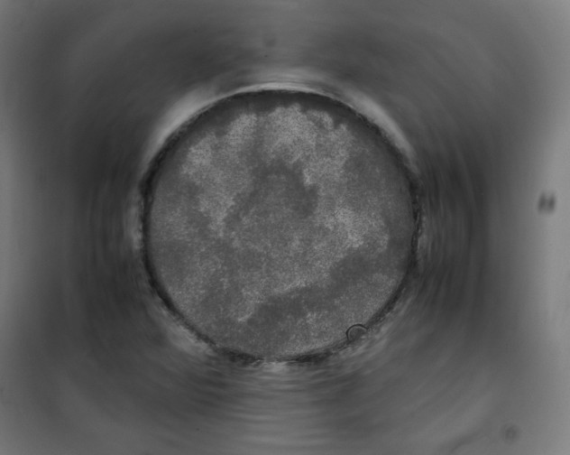 X0000100311360200807031137