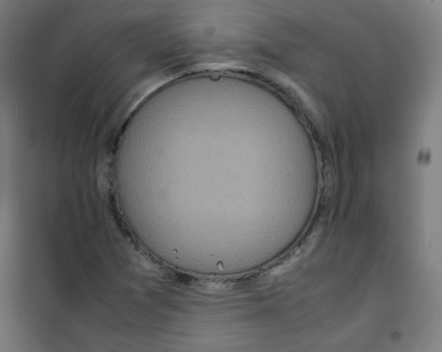X0000100311361200807031137