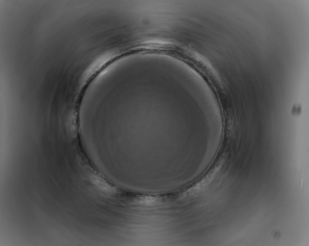 X0000100311362200807031137