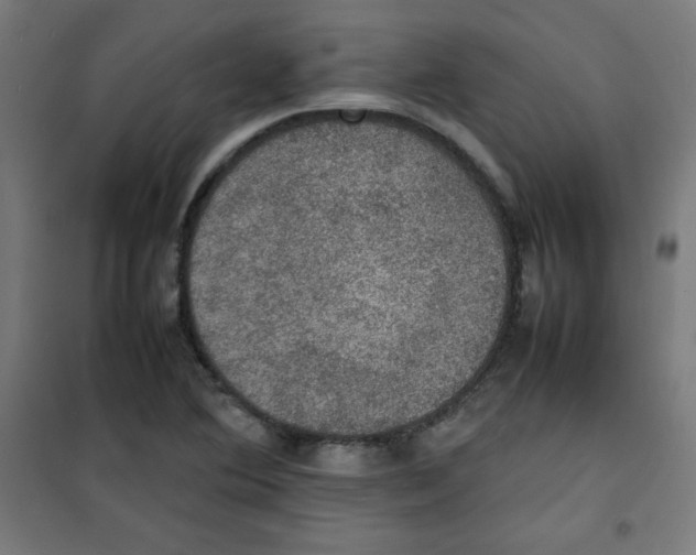 X0000100311364200807031137