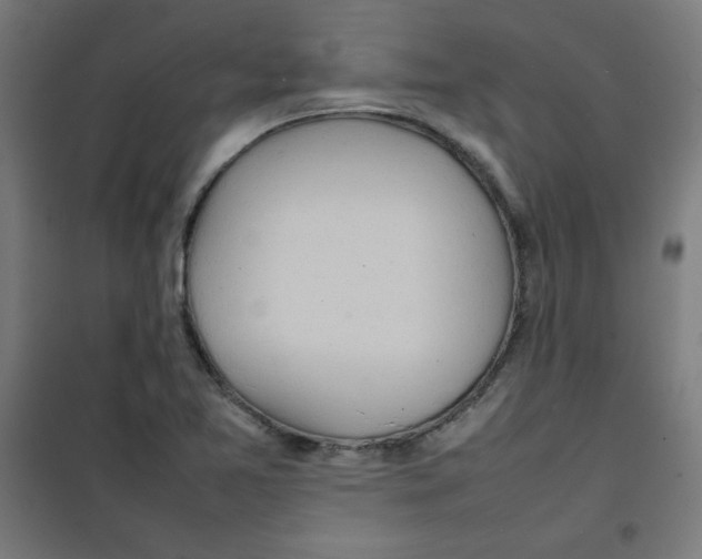 X0000100311365200807031137