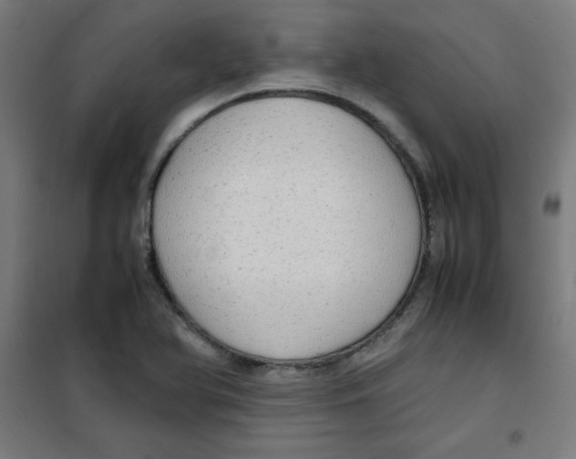 X0000100311366200807031137