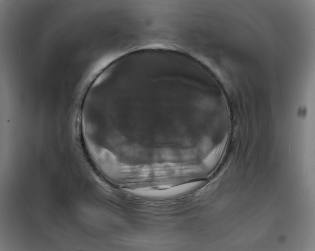 X0000100311367200807031137