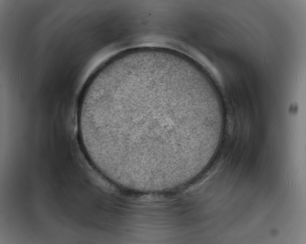X0000100311368200807031137