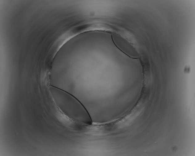 X0000100311369200807031137