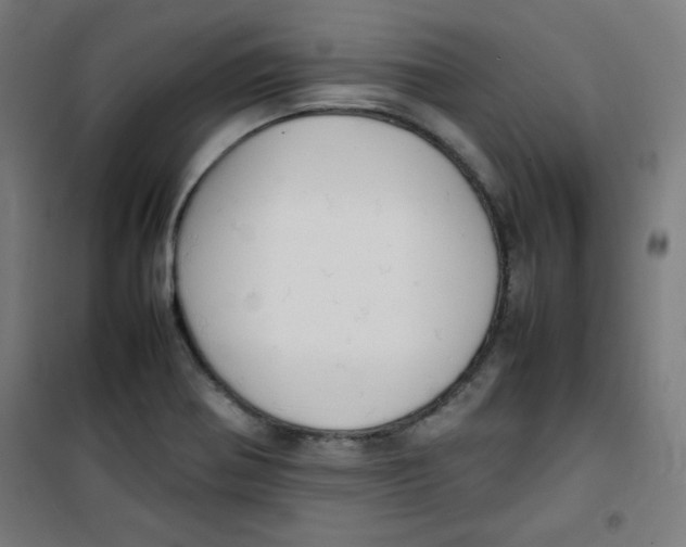 X0000100311370200807031137