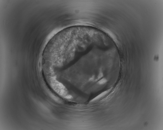 X0000100311371200807031137