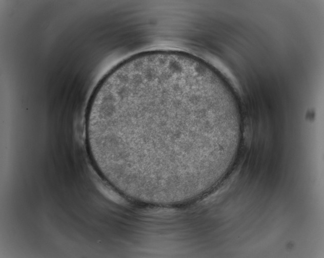 X0000100311372200807031137
