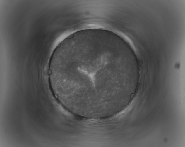 X0000100311373200807031137