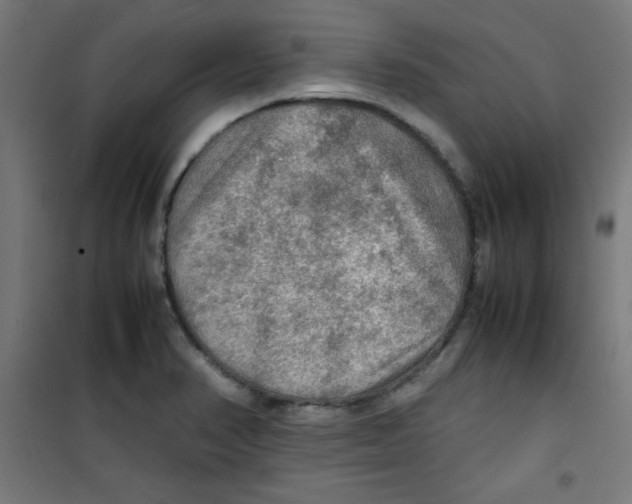 X0000100311374200807031137