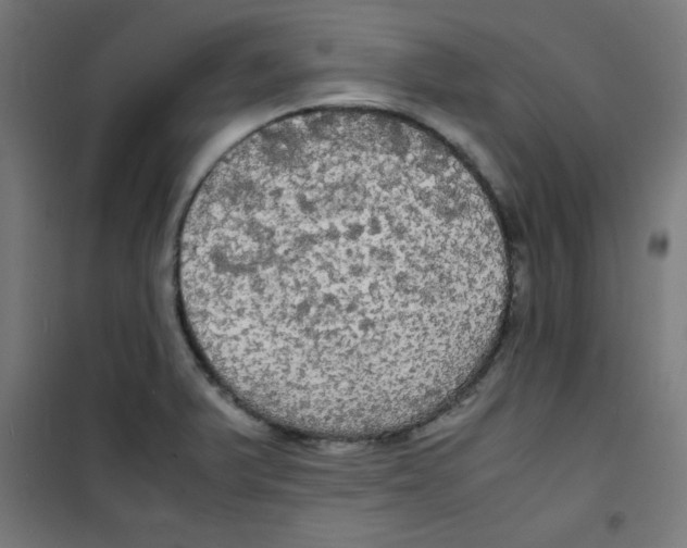 X0000100311375200807031137