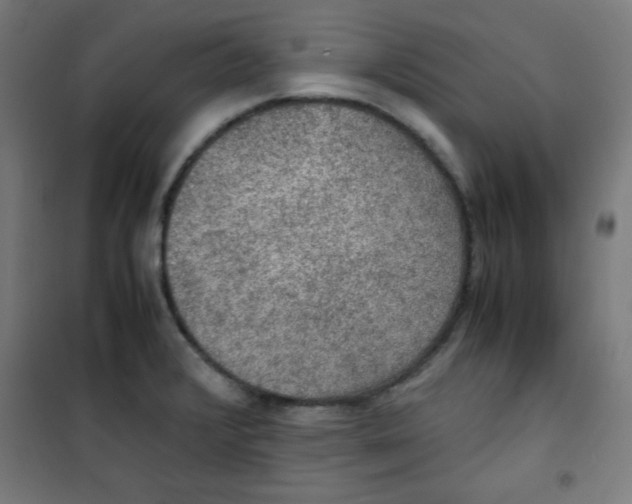 X0000100311376200807031137