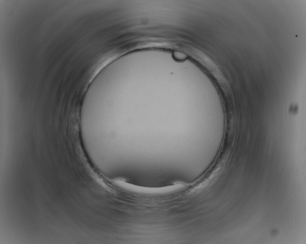 X0000100311377200807031137