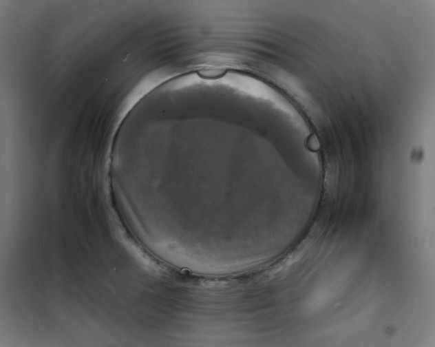 X0000100311378200807031137