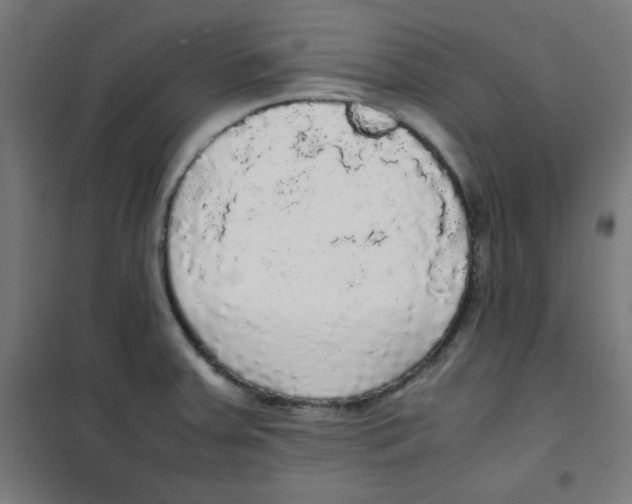 X0000100311379200807031137