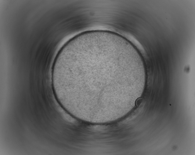 X0000100311380200807031137