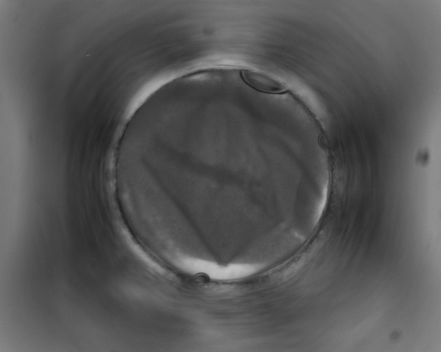 X0000100311382200807031137