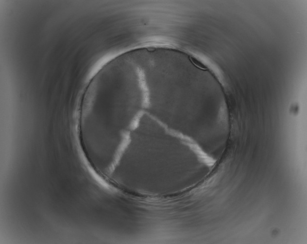 X0000100311383200807031137