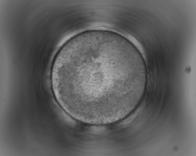 X0000100311384200807031137