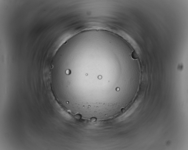 X0000100311385200807031137