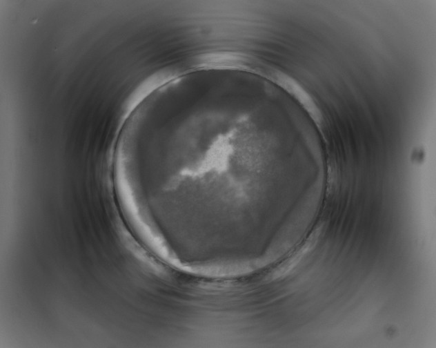 X0000100311386200807031136