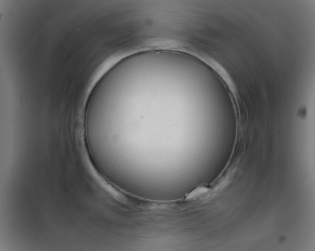 X0000100311389200807031136