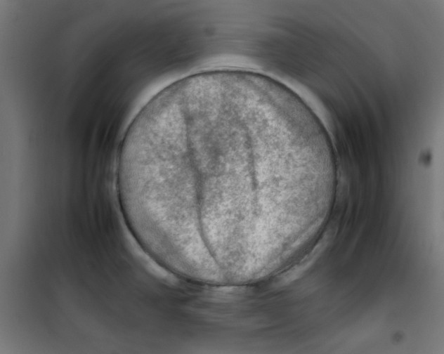 X0000100311390200807031136