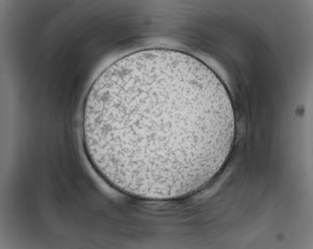 X0000100311391200807031136