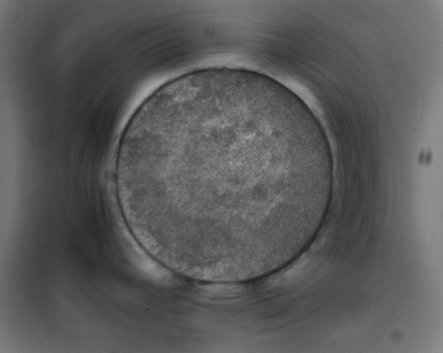 X0000100311392200807031136