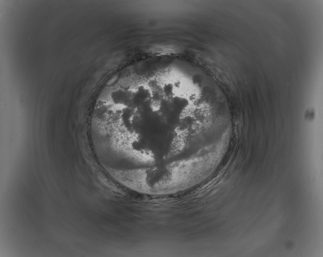 X0000100311393200807031136