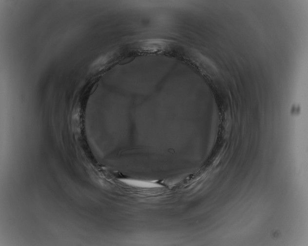 X0000100311394200807031136