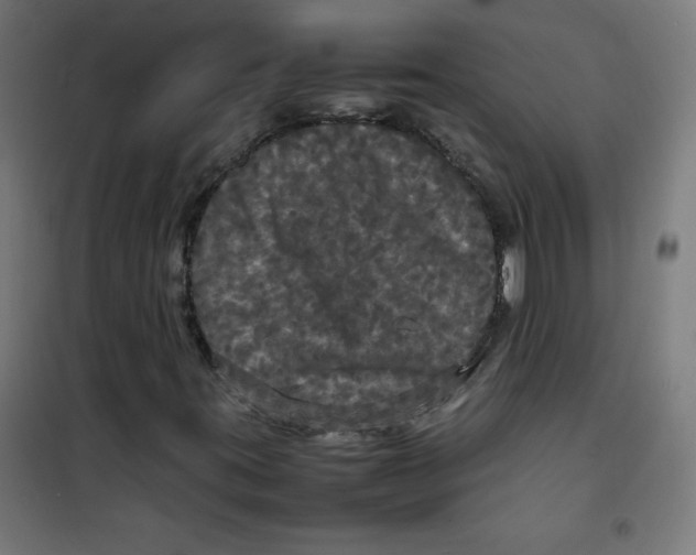 X0000100311395200807031136