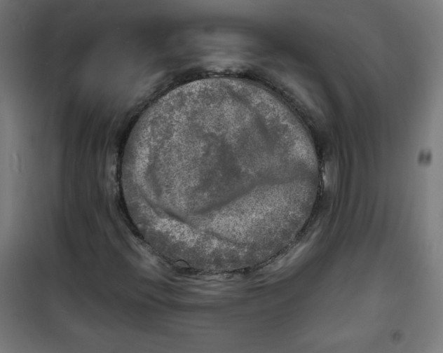 X0000100311396200807031136