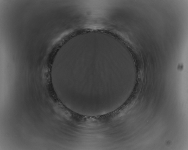 X0000100311398200807031136