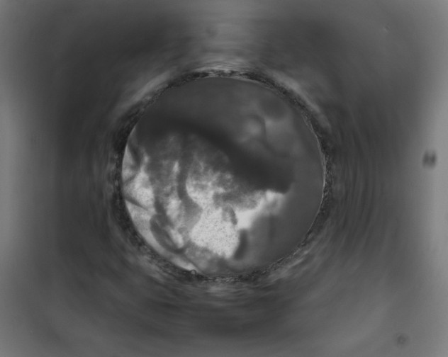 X0000100311399200807031136