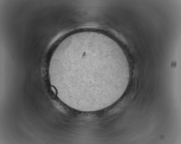 X0000100311400200807031136