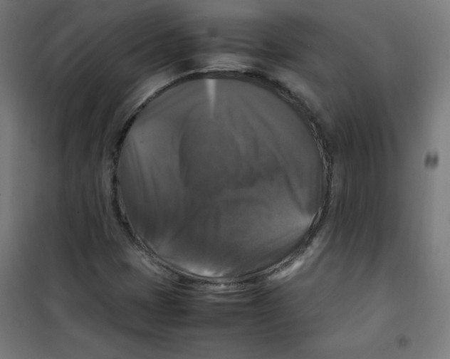 X0000100311401200807031136