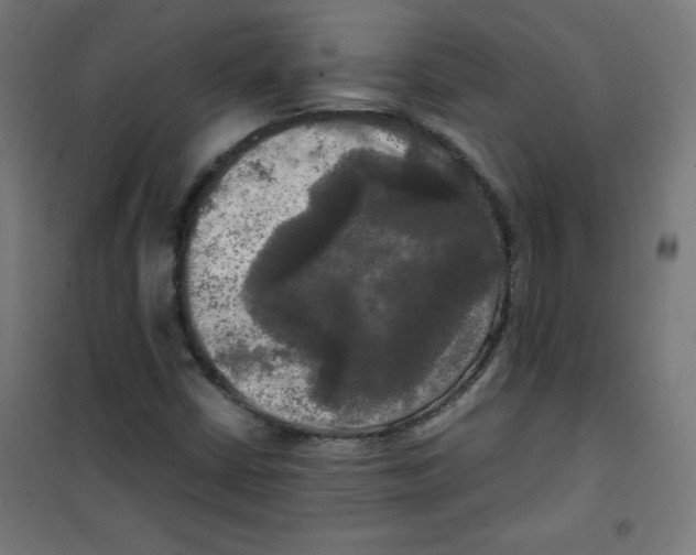 X0000100311402200807031136