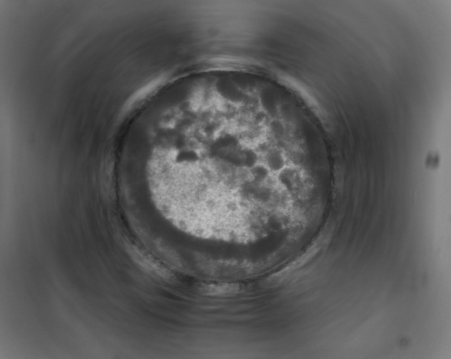 X0000100311403200807031136