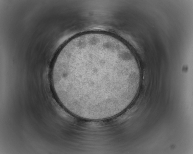 X0000100311404200807031136