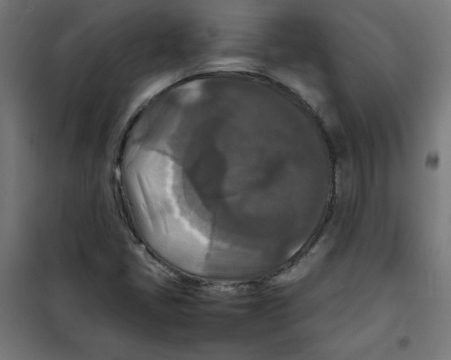 X0000100311405200807031136