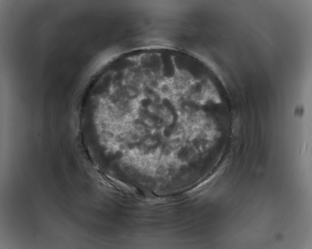 X0000100311407200807031136