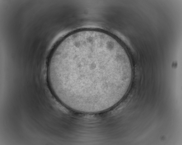 X0000100311408200807031136