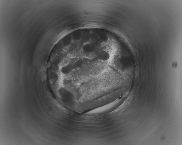 X0000100311409200807031136