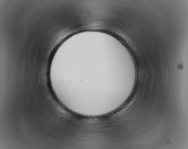 X0000100311410200807031136